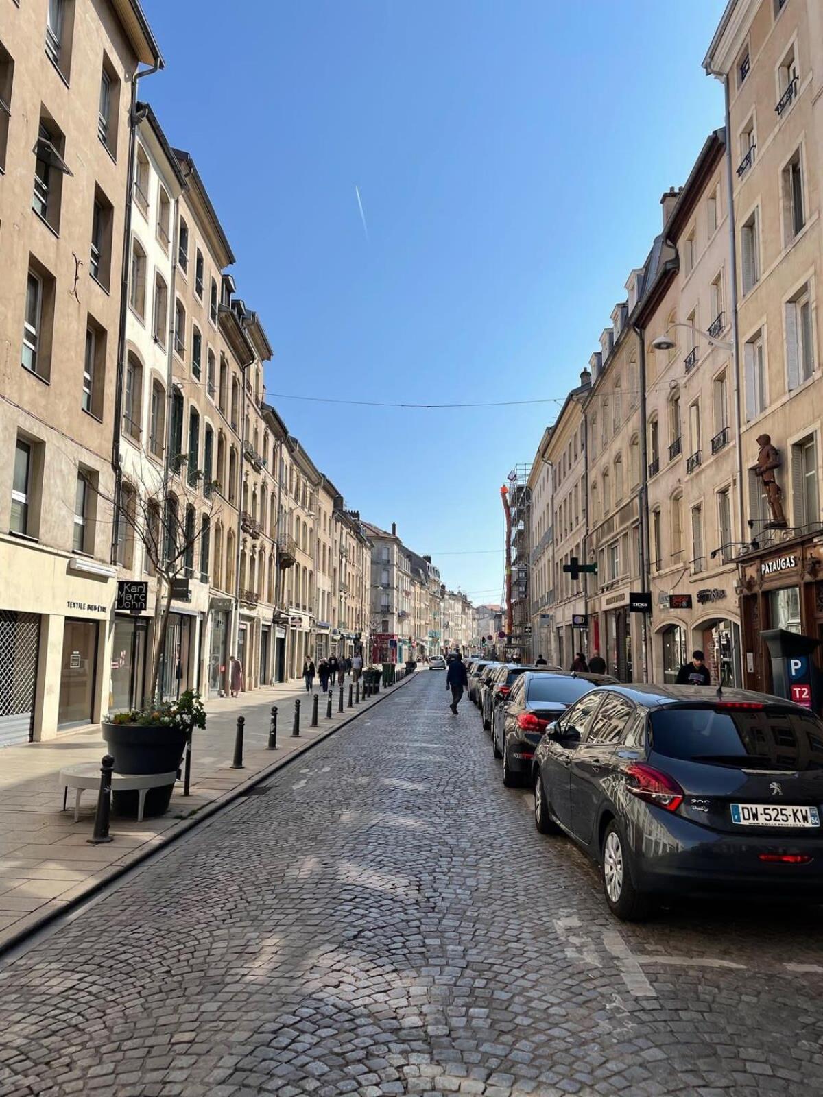 Le Dominicains Appartement Au Calme Aux Portes De La Place Stanislas Nancy Ngoại thất bức ảnh